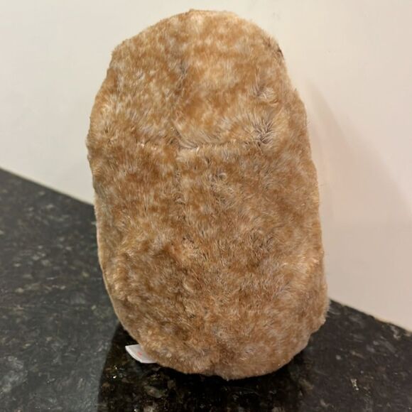 TY Beanie Baby 6" IDA Hedgehog Plush Stuffed Animal MWMT & Heart Protector MINT - Picture 4 of 11